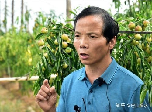 棗 想約你 冬棗分選線推動產(chǎn)品標(biāo)準(zhǔn)化升級