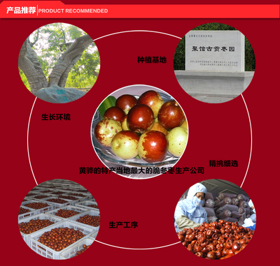 十月紅 無(wú)核 50克脆冬棗 黃驊脆冬棗 脆甜 脆棗 空心棗 脆冬棗