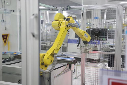 粵港澳大灣區與長三角 雙翼齊飛，積勢成力——網絡工程的機遇與挑戰
